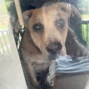 Meet your Posher, Charles